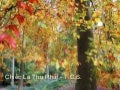 Chiếc Lá Thu Phai - T.C.S.