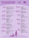 Child Development Information