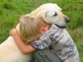 Children And Pets