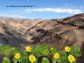 Chile hasta el desierto florece