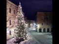 Christmas Lights1