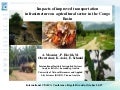Mosnier - Impacts of improved transportation infrastructure on agricultural sector in the Congo Basin 