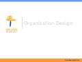 Organization Design for Srijan