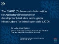 Ciard Initiative and a Global Infrastructure for Linked Open Data 