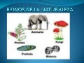 Ciclo3 reinos