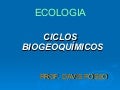 Ciclos Biogeoquimicos1