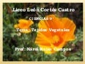 Ciencias 9° presentación p ara el blog