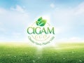 Apresentação Cigam