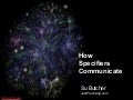 How Specifiers Communicate