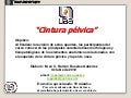 Cintura pelvica