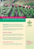 Peru: New potato varieties prove vital for the survival of mountain communities. CIP