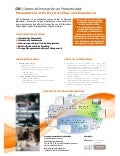 Cip rdi-brochure-2011