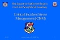 Critical Incident Stress Management