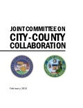 City of Chicago/Cook County Collaboration Final Report