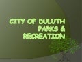 City Of Duluth Parks Budget
