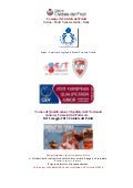 Cividale del friuli   juniores femminili di pallavolo ed evento codroipo - 10 11 12 maggio 2013
