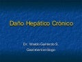 Daño Hepático Crónico Dr. Gallardo