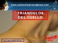 Clase 5 Triangulos Del Cuello