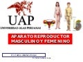 Clase 8 Aparato Reproductor
