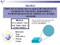 Clase 1 Y 2: Materia y energía 