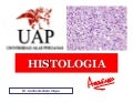 Histologia - TEJIDO EPITELIAL