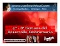 4a - 8a Semana Embrionaria