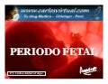 PERIODO FETAL
