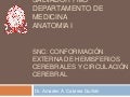 Clase conformacion externa hemisferios cerebrales