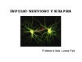 IMPULSO NERVIOSO Y SINAPSIS