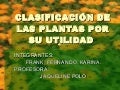 ClasificacióN De Las Plantas Por Su Utilidad3ºE