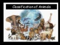 Classification 1211248247479135 8