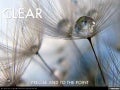 CLEAR