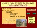Climas y Vegetación de España II, Clima Mediterráneo