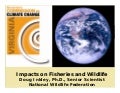 Impacts on Fisheries and Wildlife