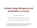 Climate change mitigation and smallholders in forests