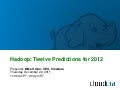 Hadoop Twelve Predictions for 2012