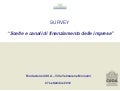 Survey: Scelte e canali di finanziamento delle imprese”