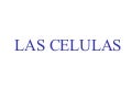 Células