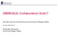 CMDBUILD: Collaboration Suite?