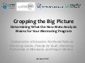 Cropping the Big Picture: What the New Meta-Analysis Means for Your Mentoring Program