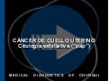 Cáncer de cuello uterino, citología exfoliativa v1.2
