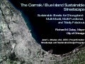 The Cermak/Blue Island Sustainable Streetscape