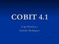 COBIT 4.1