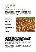 Cocina española: Crema de Calabaza