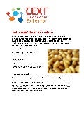 Cocina española: puré de patatas