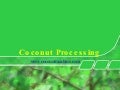 Coconut Processing