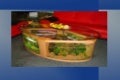 Aquatic Coffee Table Aquariums