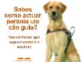 Cão guia