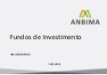 Coletiva sobre Fundos de Investimento em 2011