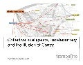 Collective Intelligence Indeterminacy and the Illusion of Control